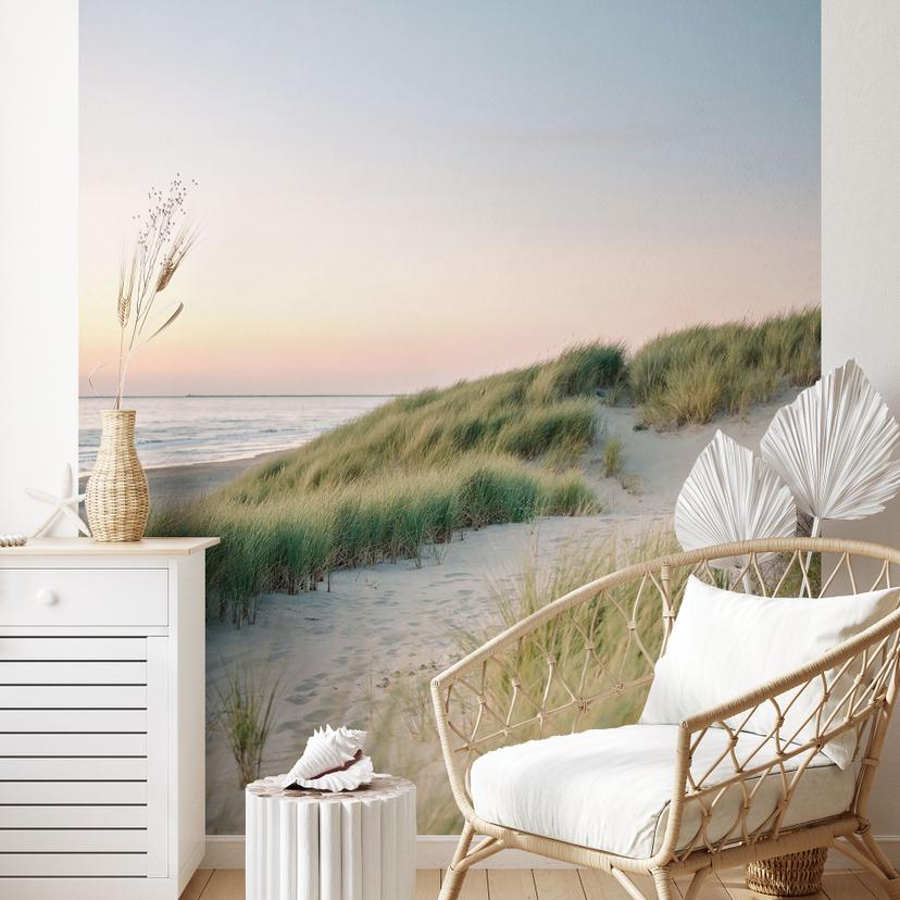 Playa y mar - Dunas en la costa holandesa - Zwart