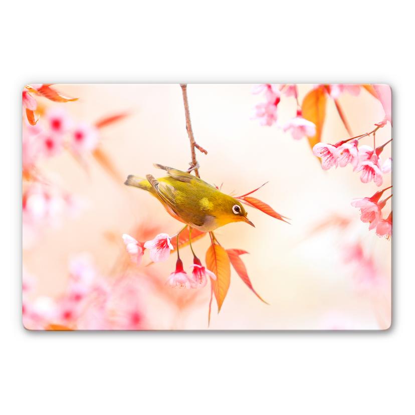 Tableau en verre - Gazouillis d'oiseaux dans les fleurs de cerisiers