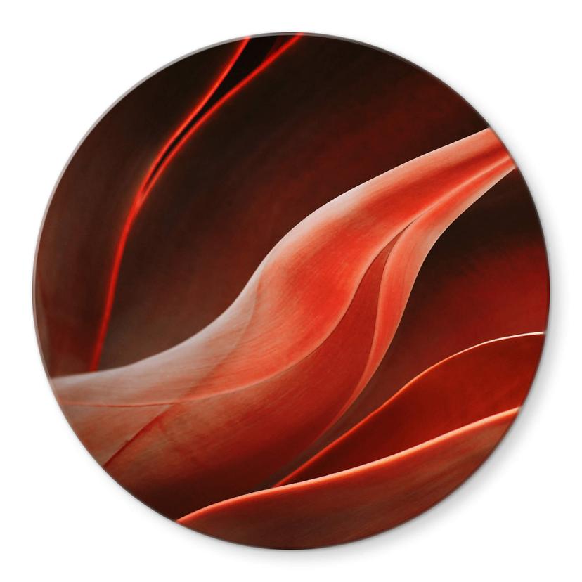 Tableau sur verre Wechsler - plantes d'agave en automne
