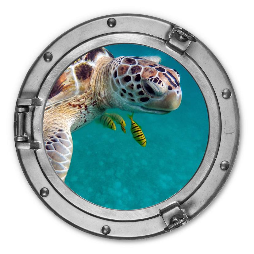 Alu-Dibond 3D Optik - Unterwasserfreunde - Rund