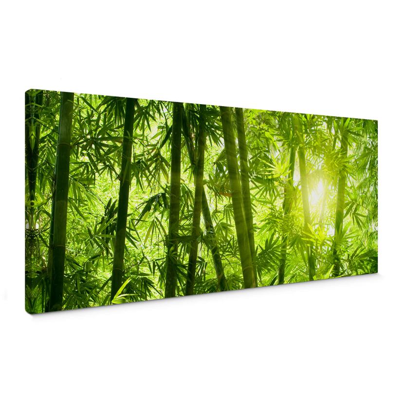 Tableau sur toile Rayon de soleil dans la forêt de bambous - Panorama