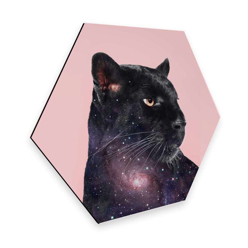 Hexagone - Alu-Dibond Loose - Galaxie de panthère