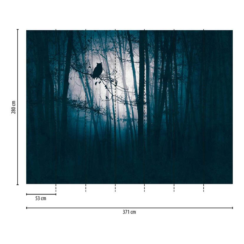 Fototapete Waldnacht Blau Schwarz - Vliestapete Eulenmotiv für Wohnzimmer & Schlafzimmer