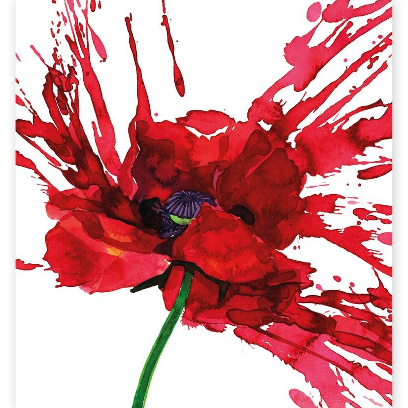 Fotomurale Papavero rosso