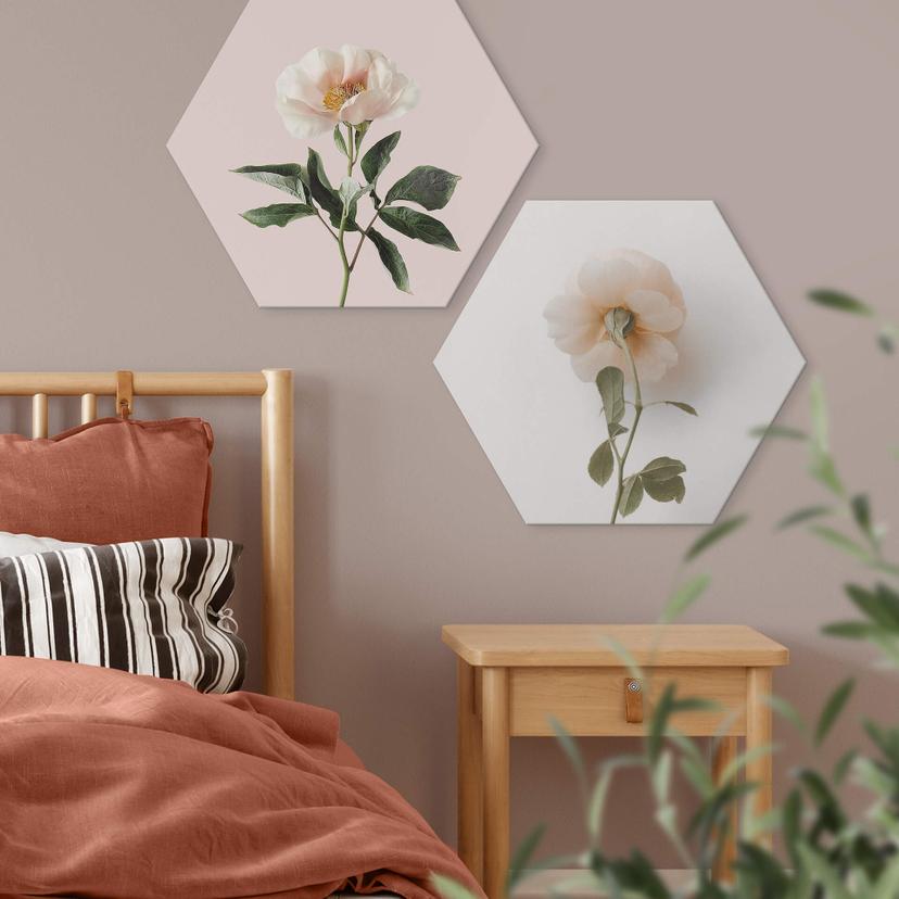 Esagoni in Alu-dibond Annie - Rose