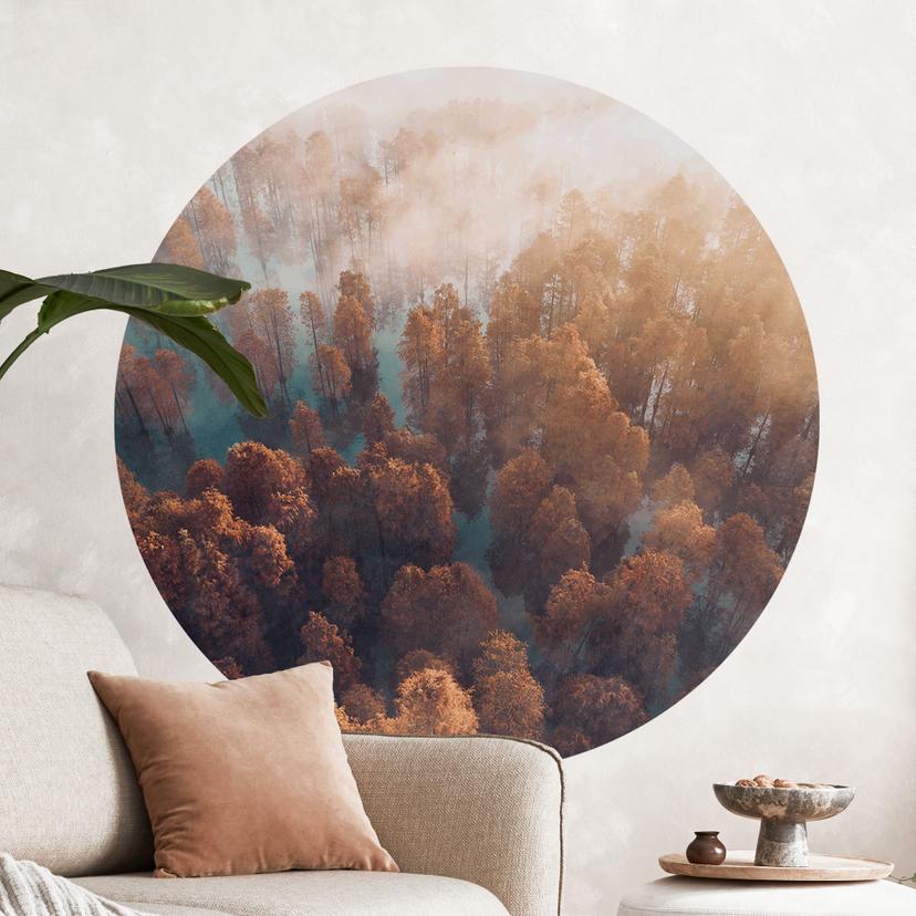 Wall Sticker Efterårsskov i tåge - Ioricon