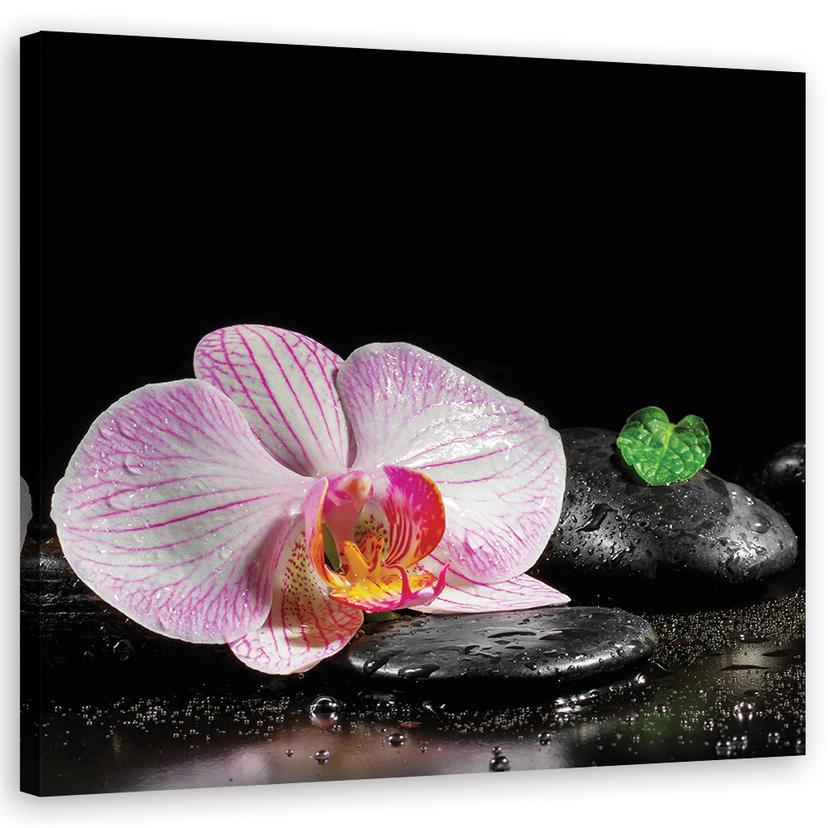 Canvasbillede, orkidéblomster Zen Spa