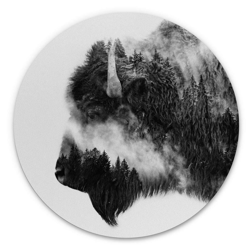 Tableau sur alu-Dibond Angyalosi - Bison - Rond