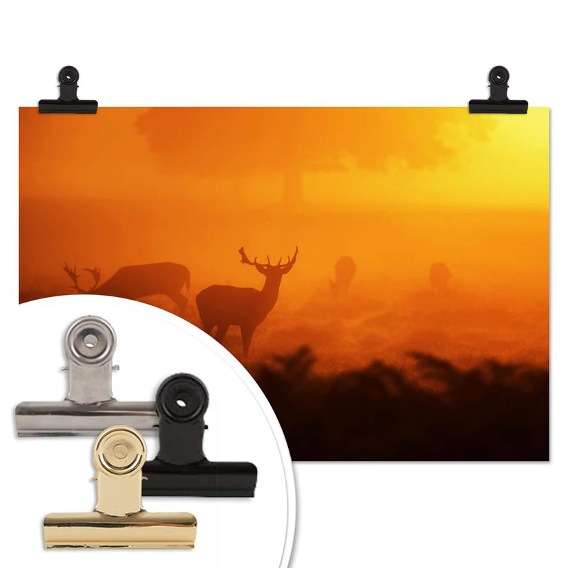 Poster - Cerfs au coucher de soleil