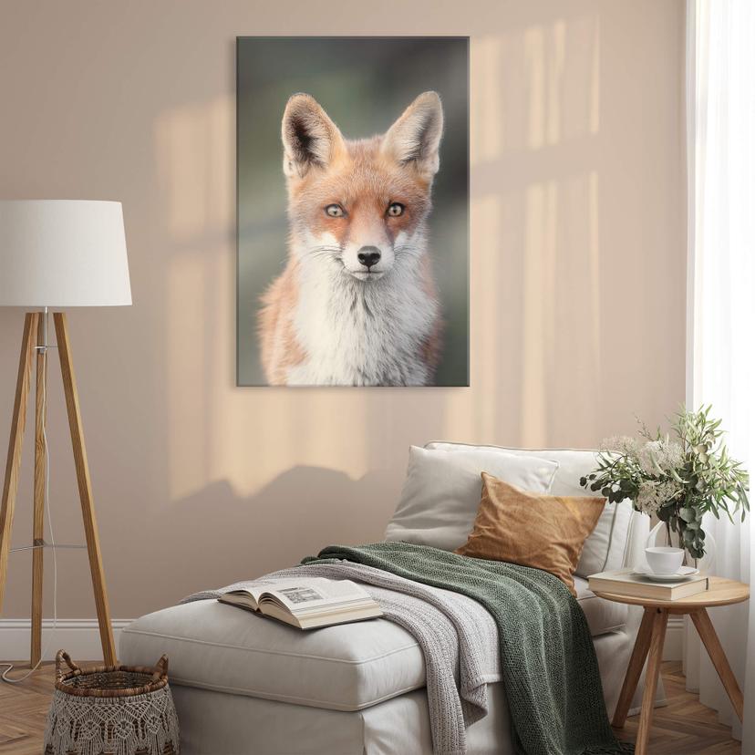 Tableau sur verre acrylique van Duijn - Yeux de renard