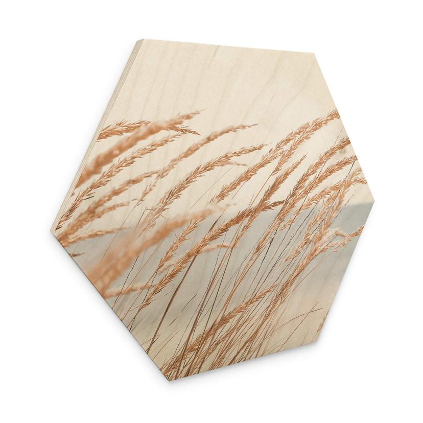 Hexagone - Bois Herbe des dunes