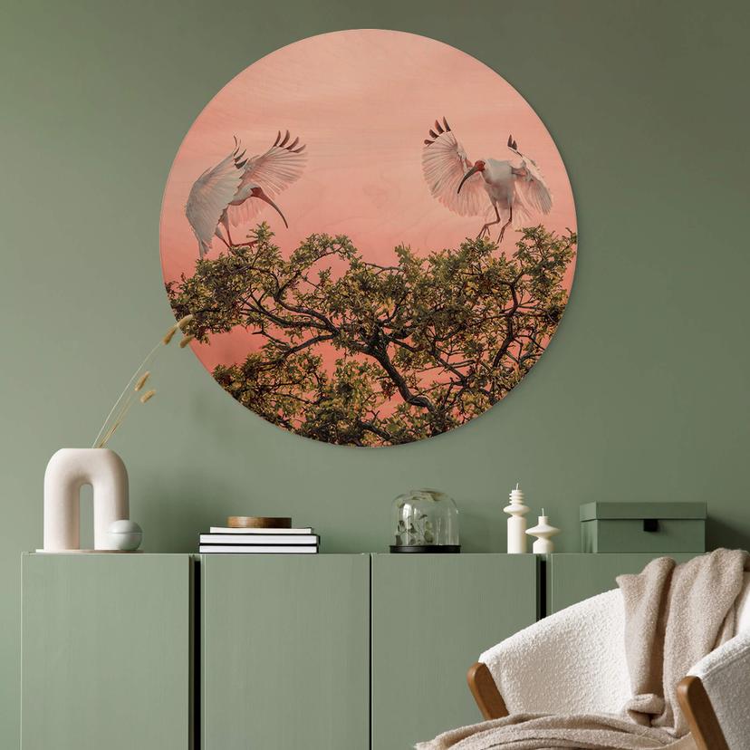 Stampa su legno Zhao - Birds at Sunset