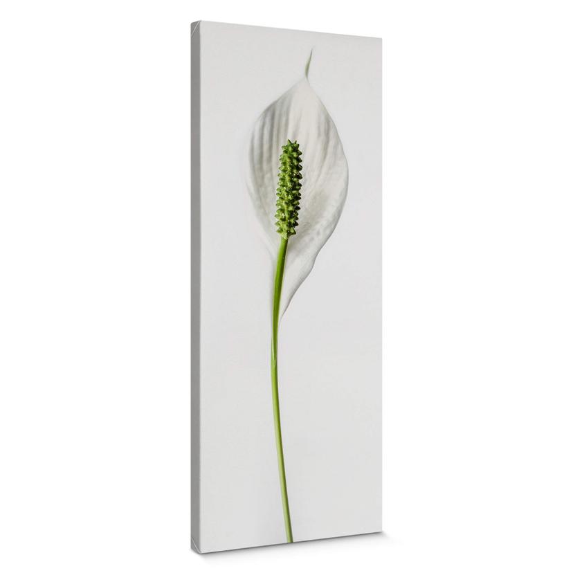 Canvas Peace Lily
