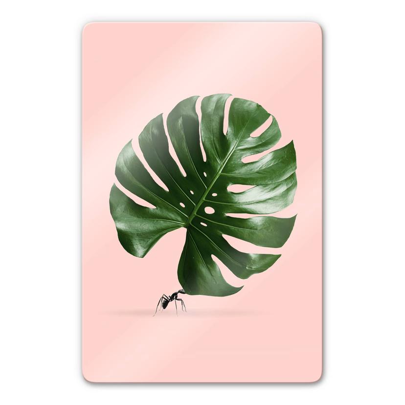 Glasschilderij Loose - Monstera Ant