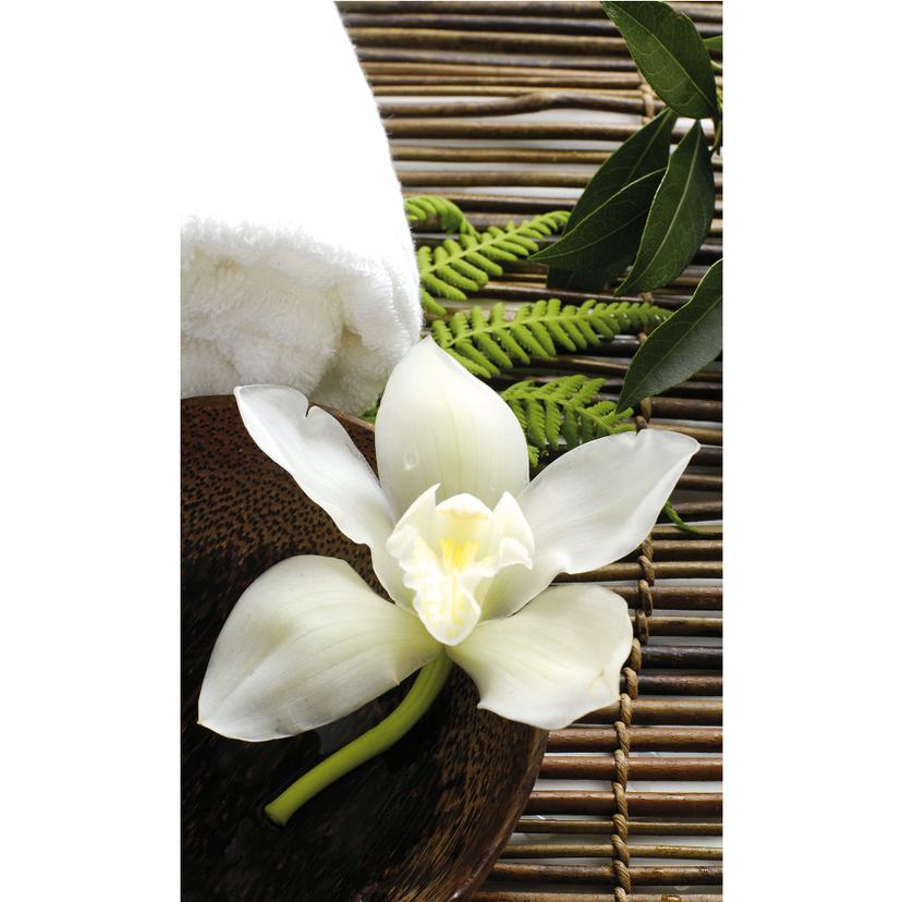Fotomurale Orchidea rilassante