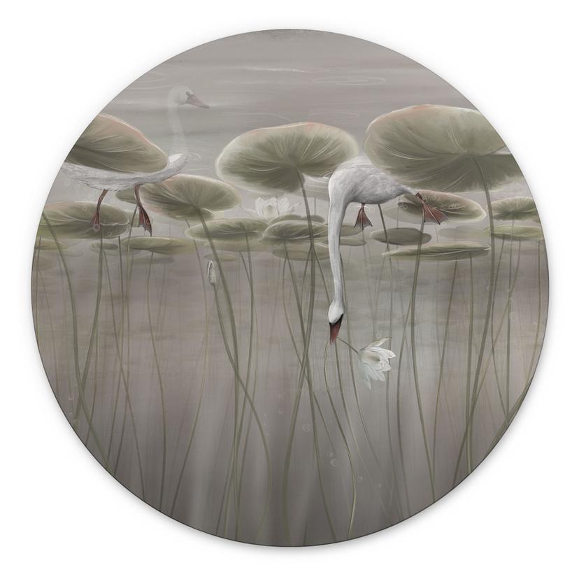Wandbild Lotusblumen mit Schwan im Wasser in Grau - Ms Tiff - Alu-Dibond Rund
