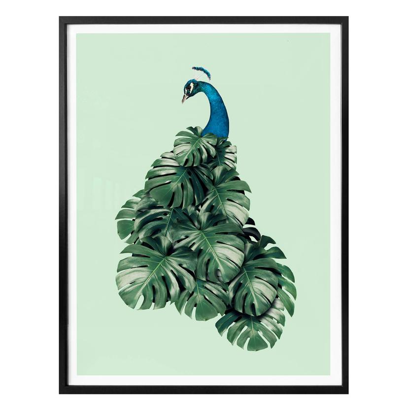 Poster Loose - Oiseau monstera