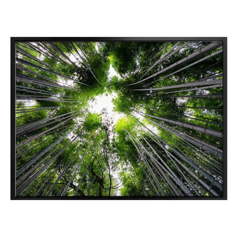 Plakat - Hugonnard - Skov i Japan