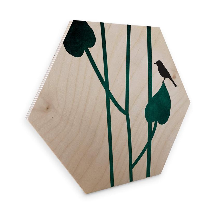 Esagoni in legno Kubistika - Natura
