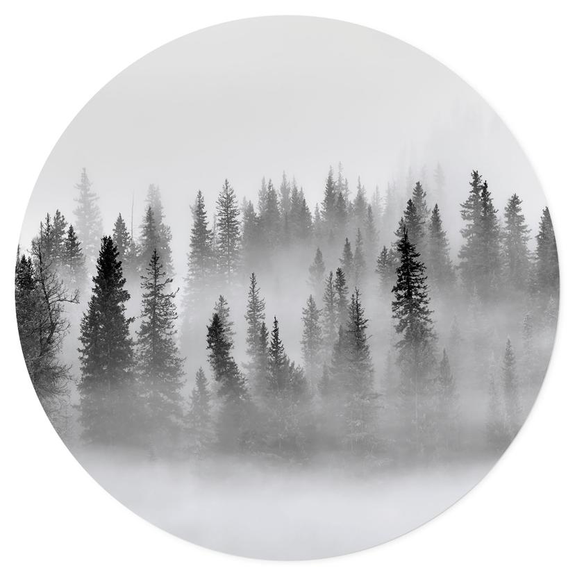 Vinilo decorativo bosque de nubes en blanco y negro - Redondo - Xu