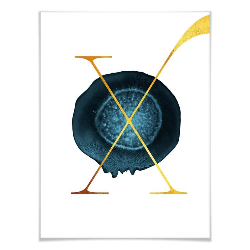 Poster - Lettera X