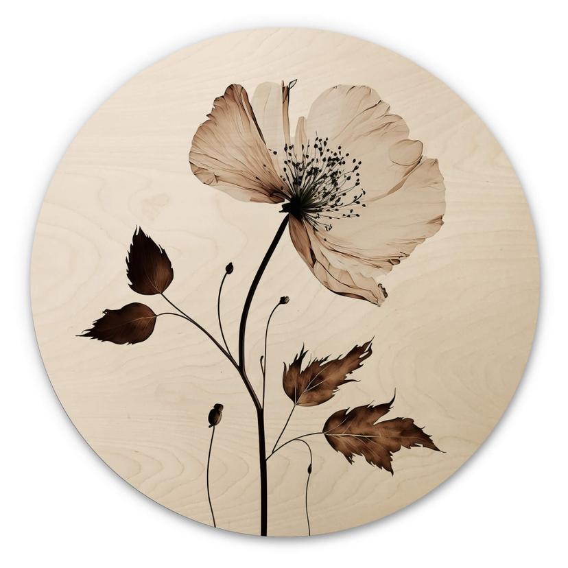 Cuadro de madera de flores secas en crema - Redondo - Treechild