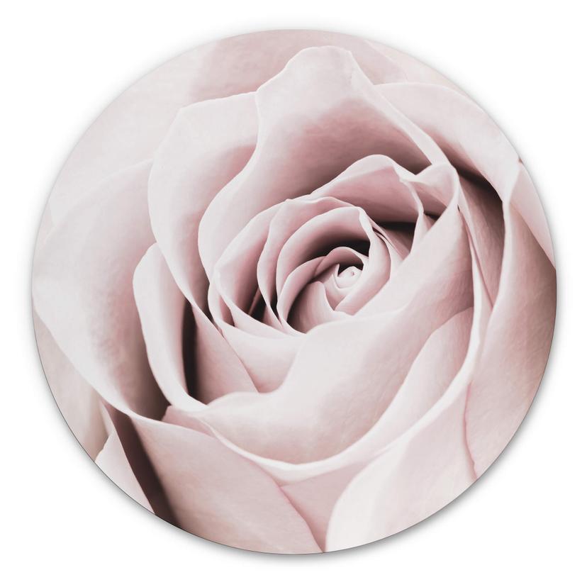 Tableau sur alu-Dibond 1X Studio - Rose Noble - Rond