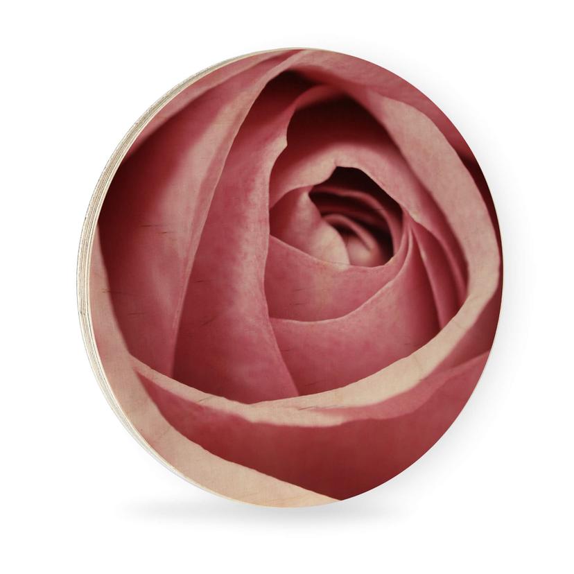 Tableau sur bois La rose rose - Rond
