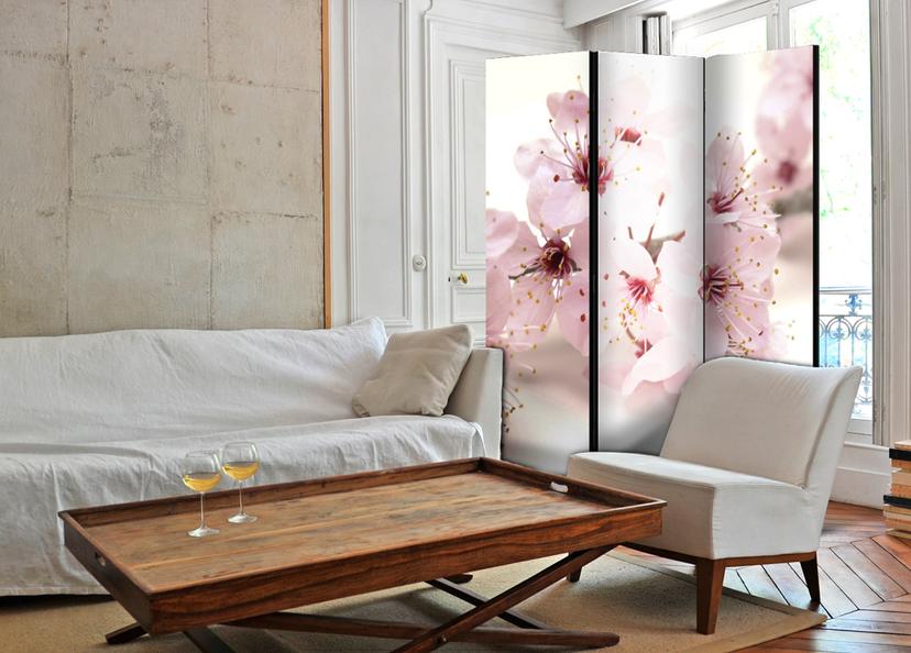 Schermo divisorio - Fiori di ciliegio, 3 pezzi - 135x172 cm