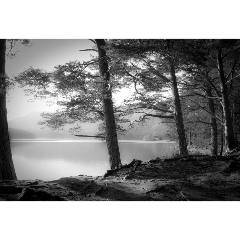 Fotomurale Fuhg - Lago 384x260 cm