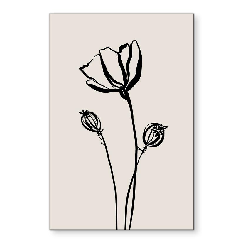 Billede af Line Art Poppy - Cats & Dotz – print på aluminium (Alu-Dibond)