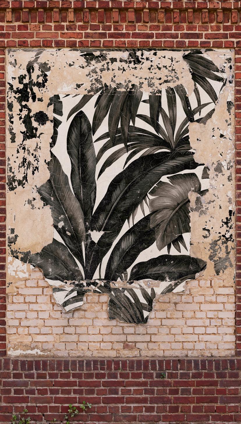 Graffiti marrón beige - Fotomural tejido-no tejido - Industrial Livingwalls - mate y liso