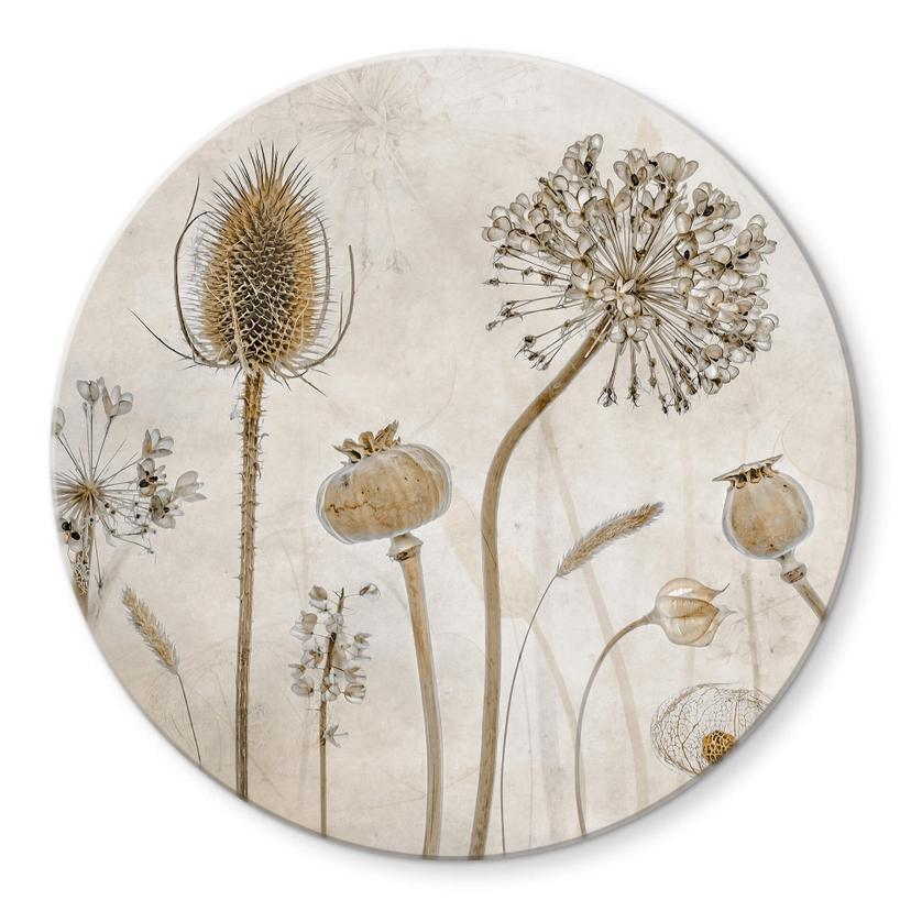 Tableau sur verre rond Disher - fleurs séchées