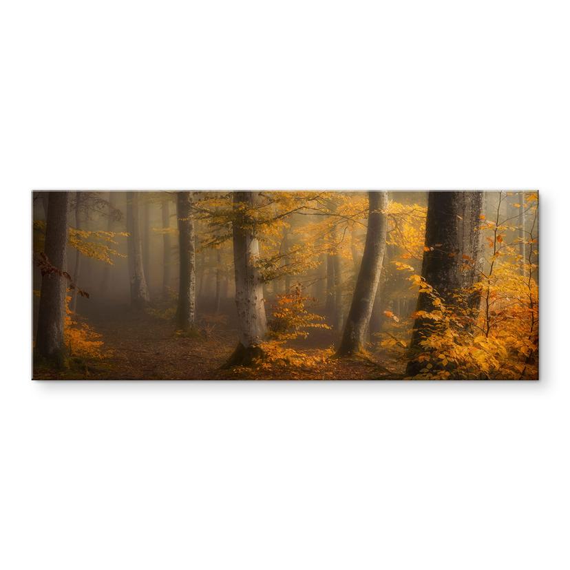 Akrylbillede Gyldne blade i en tåget skov - Maier - Panorama