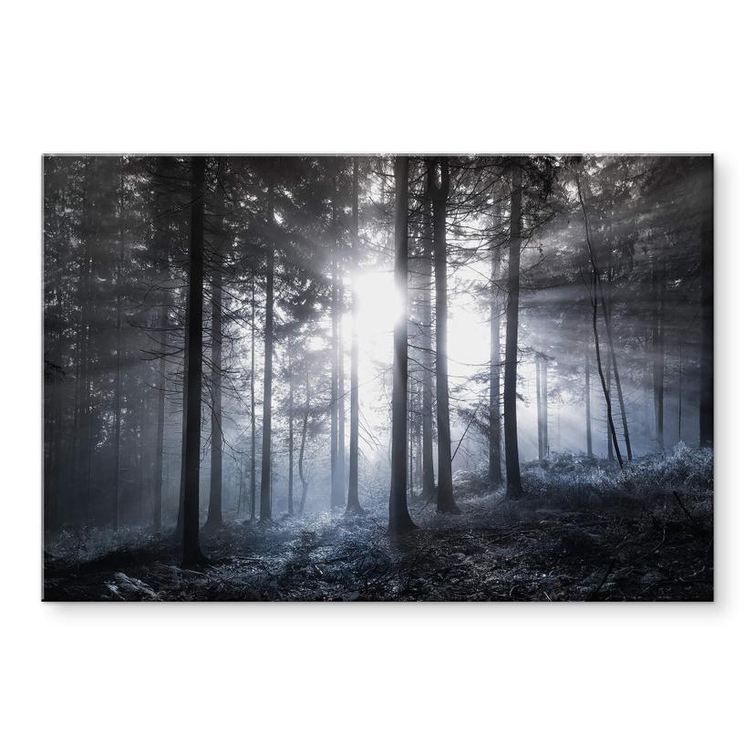 Tableau en verre acrylique Rayons de soleil dans la forêt bleue