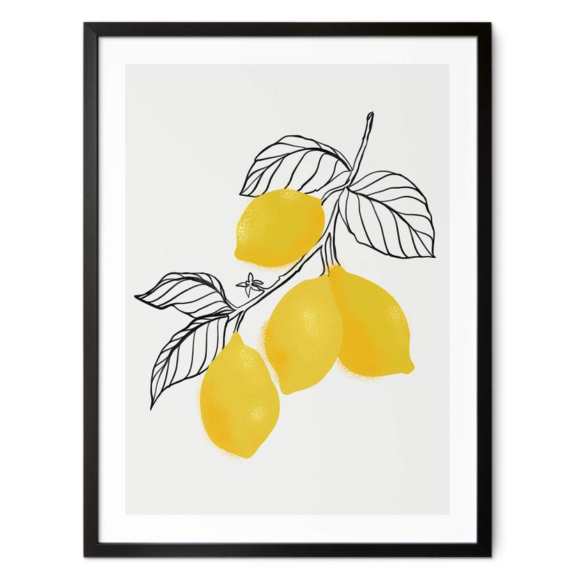 Póster Blursbyai - Ilustración de una rama de limón