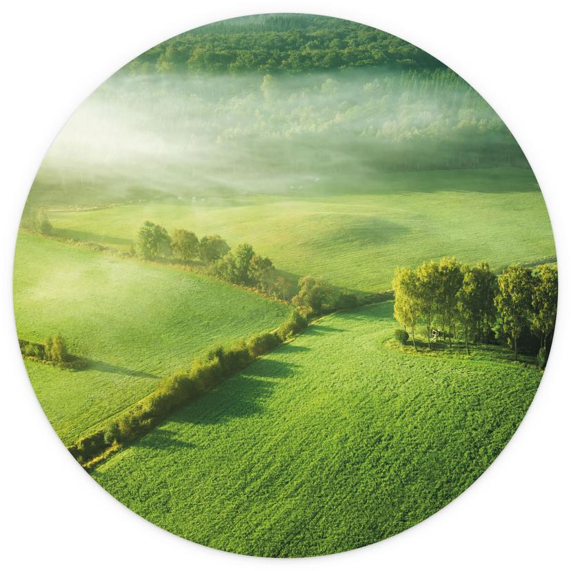 Fototapet Landskap - Idylliska fält i dimman - Källare - Rund - non-woven tapet/självhäftande non-wo