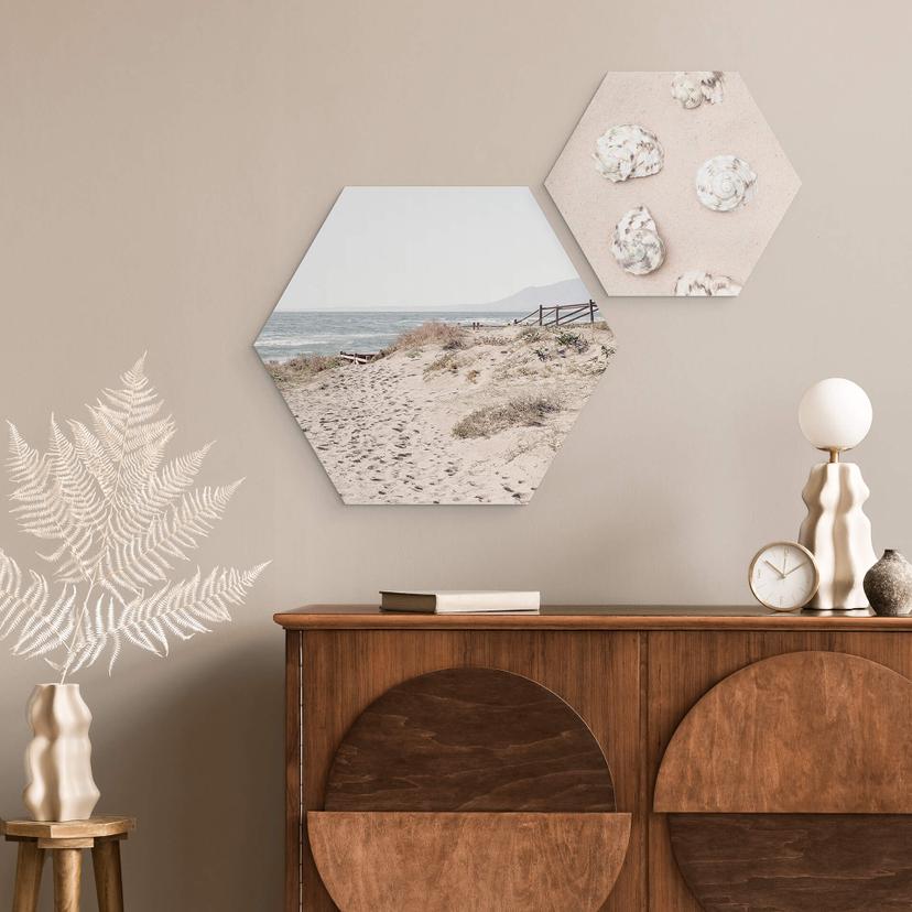 Hexagon Dibond 1X Studio - in de Duinen