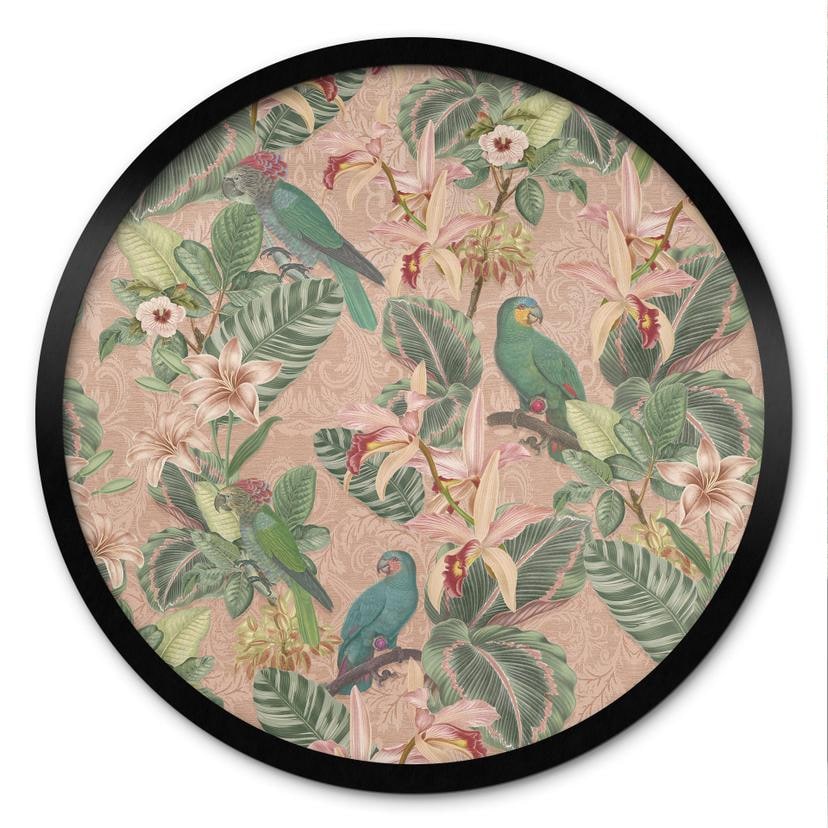 Plakat Jungle med papegøjer Pink - Bloomery Decor - Round