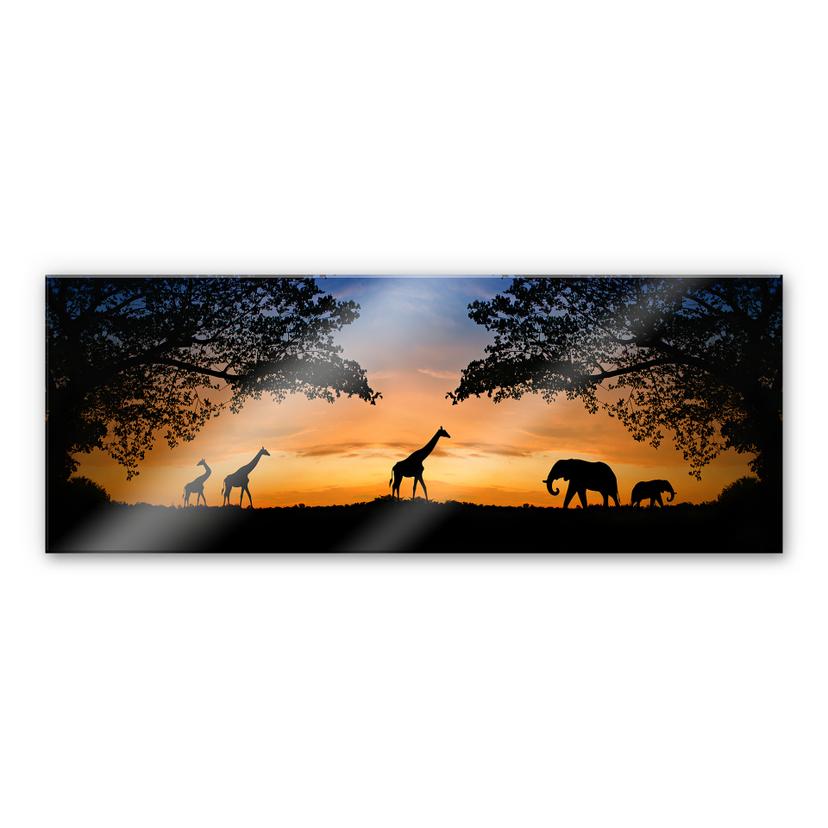 XXL Billede Afrikansk solnedgang