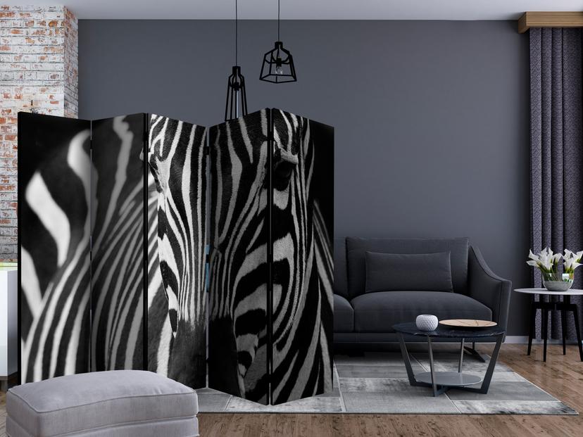 Schermo divisorio - Gioco a righe , 5 pezzi - 225x172 cm