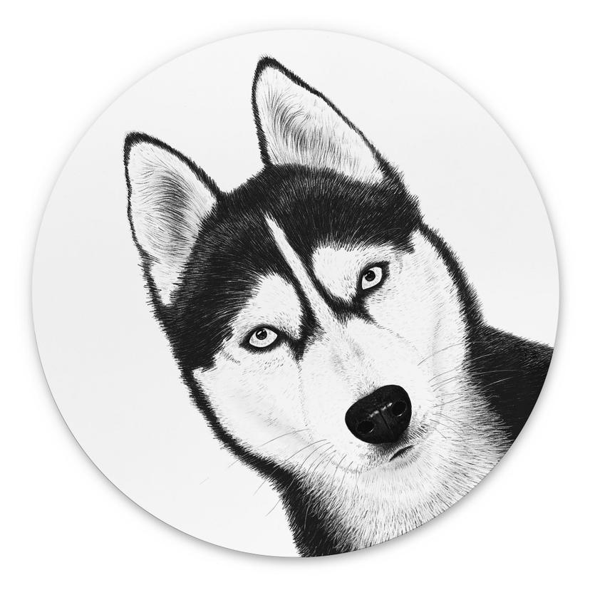 Rundt vægmaleri Siberian husky - hundeportræt - Korenkova – print på aluminium (Alu-Dibond)