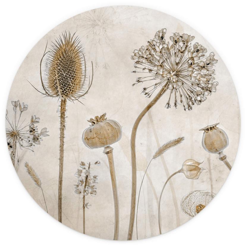 Disher - Torkade blommor - Rund Fototapet - non-woven tapet/självhäftande non-woven tapet