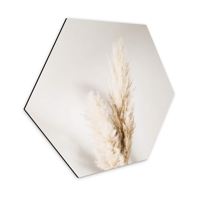 Hexagone - Alu-Dibond 1X Studio - Herbes de Pampas liées