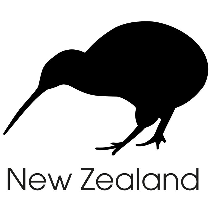Uccello kiwi