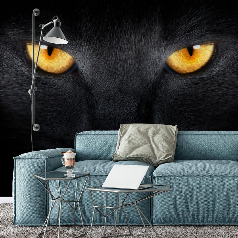 Fototapet Cat's Eyes - 432x260 cm