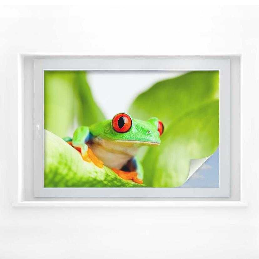 Film occultant - Grenouille fluorescente