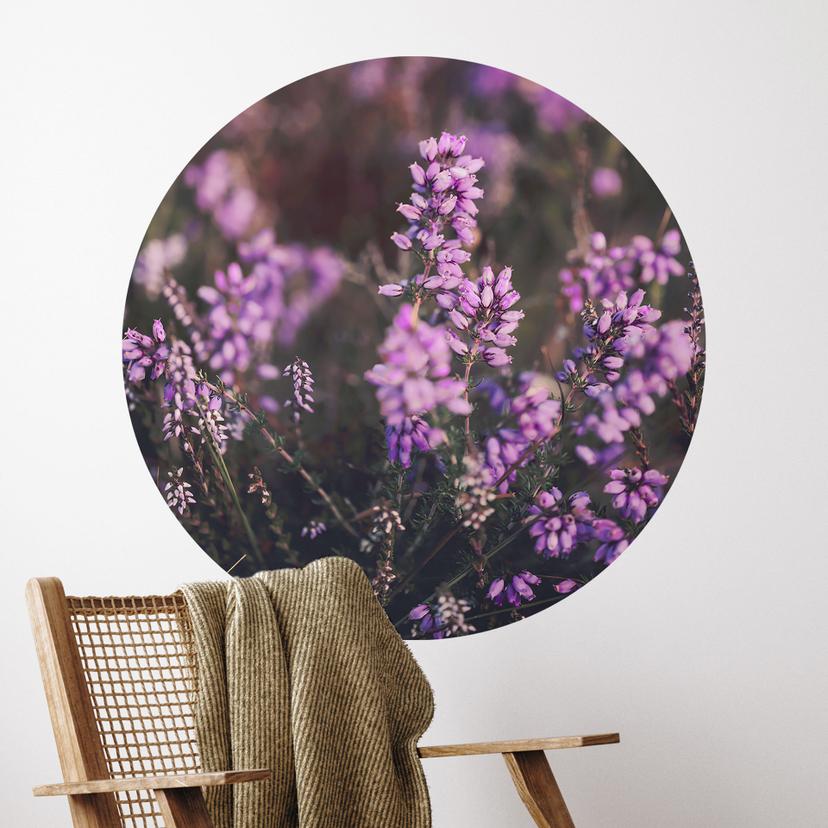 Wallsticker Lilla lyngblomst i varmt lys | Blomster wallsticker - Annie - Rund