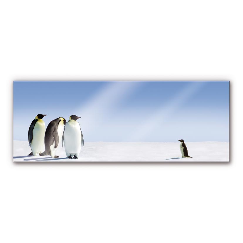 Tableau en verre acrylique - Manchots