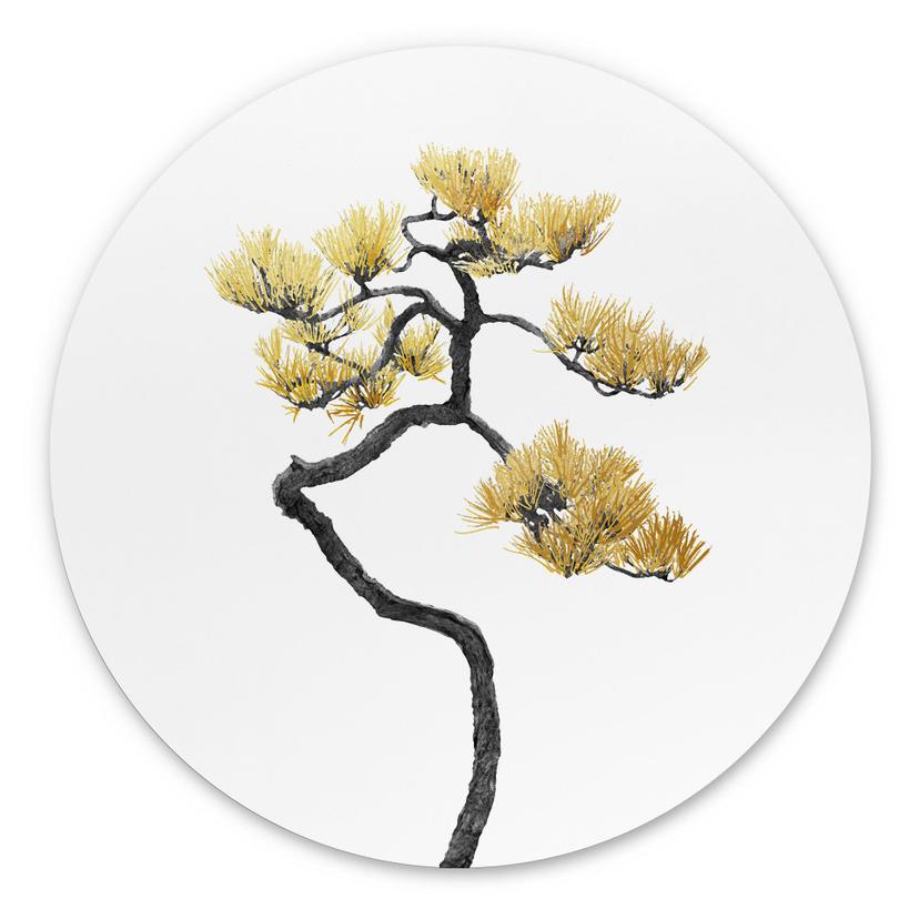 Vægcirkel Bonsai i balance - Amini – print på aluminium (Alu-Dibond)